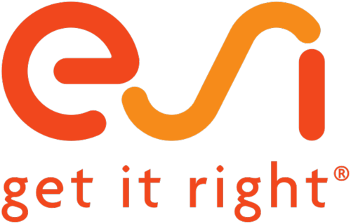 ESI GROUP ESI GROUP